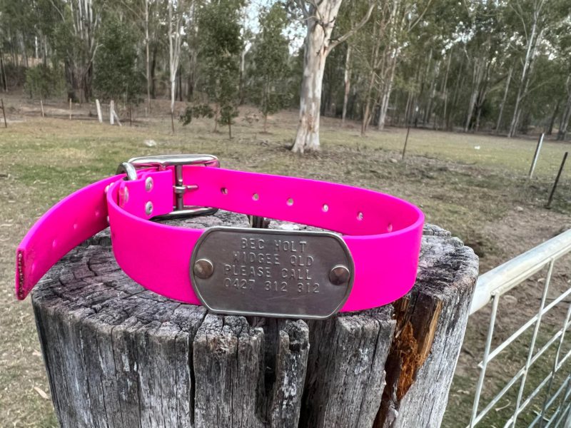 PINK PVC - AUSSIE TOUGH COLLAR WITH TAG - Image 3