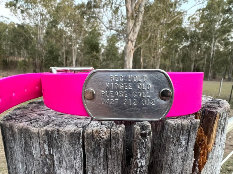 PINK PVC - AUSSIE TOUGH COLLAR WITH TAG - Image 6