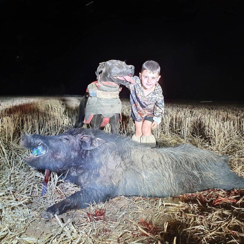 Bristle Up Grunter Hunter Cracked Design - BU007 - Image 12