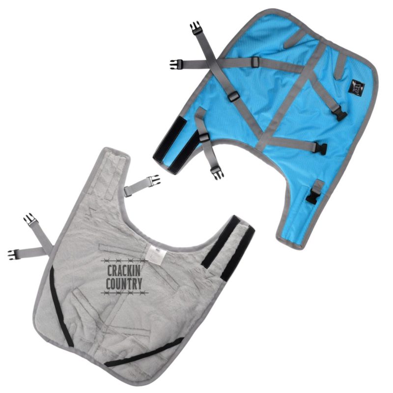 ZeeZ SUPREME Dog Coat GEN 2 Turquoise/ Grey - Image 2