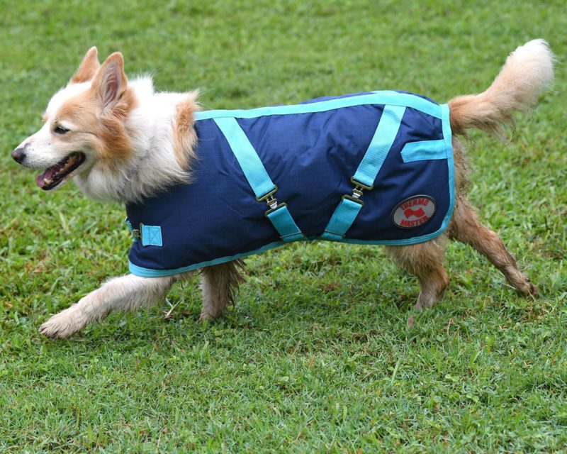 Thermo Master Supreme Dog Coat – Navy/Baby Blue - Image 6