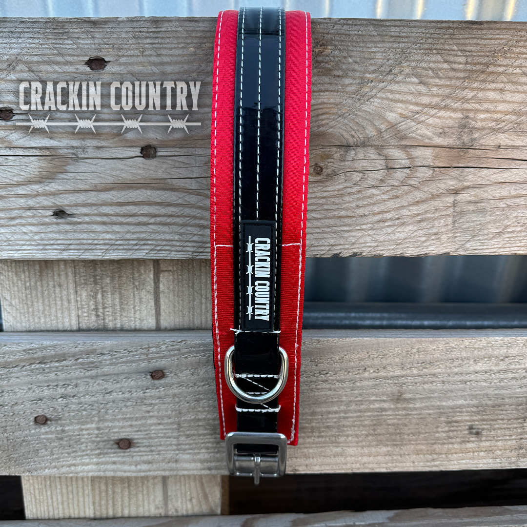 Rugged CC Seatbelt Collar - Image 3