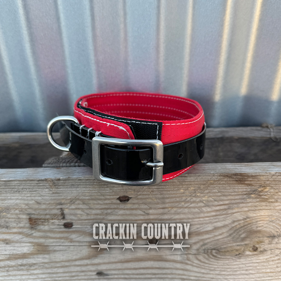 Rugged CC Seatbelt Collar - Image 5